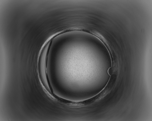 X0000085800795200703231329