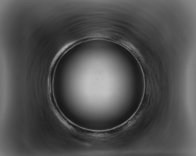X0000085800796200703231329