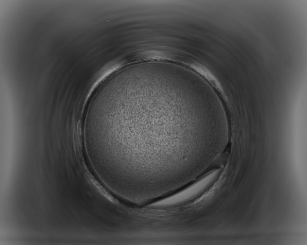 X0000085800798200703231329