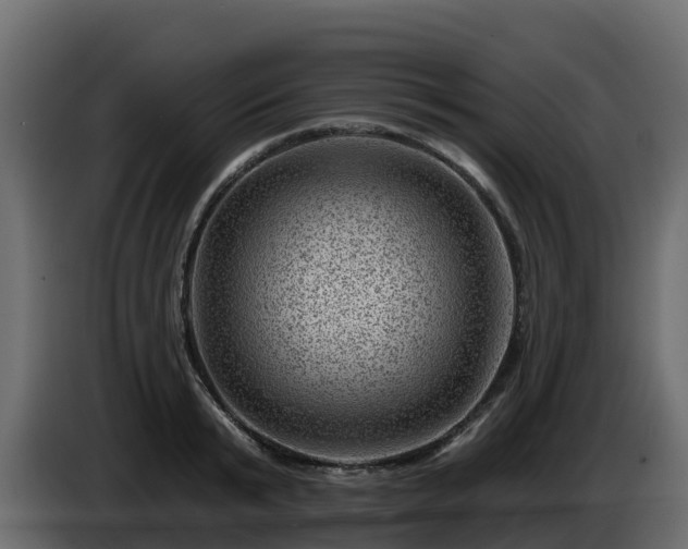 X0000085800799200703231329
