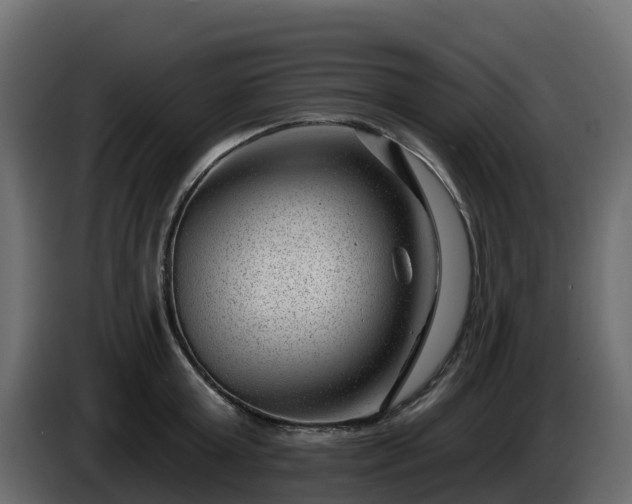 X0000085800803200703231329