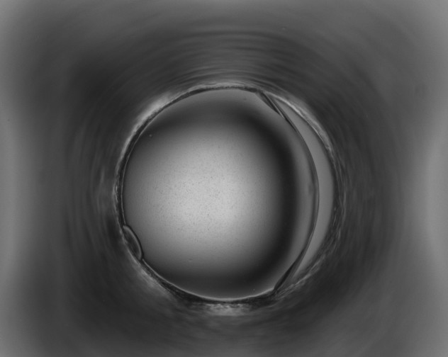 X0000085800805200703231329
