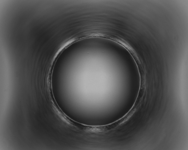 X0000085800806200703231329