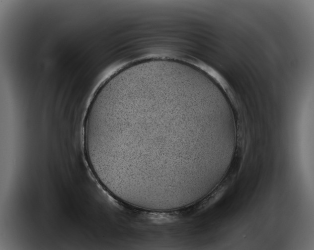X0000085800807200703231329