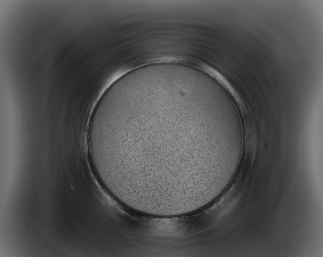 X0000085800810200703231329