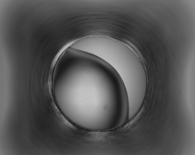 X0000085800812200703231329