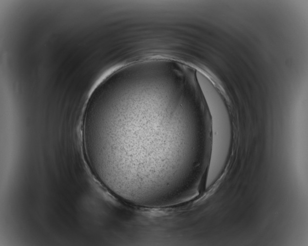 X0000085800814200703231329