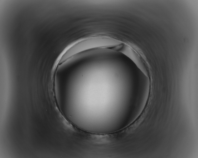 X0000085800816200703231329