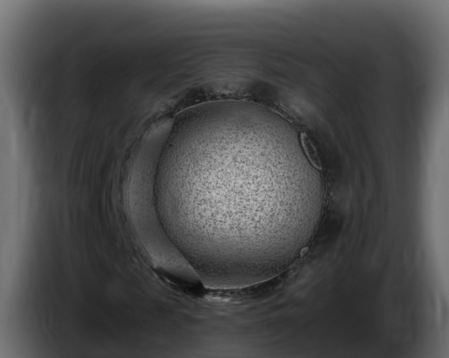 X0000085800817200703231328