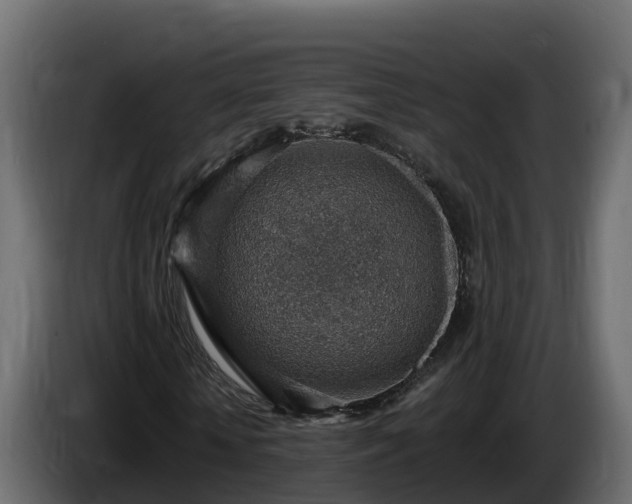 X0000085800818200703231328