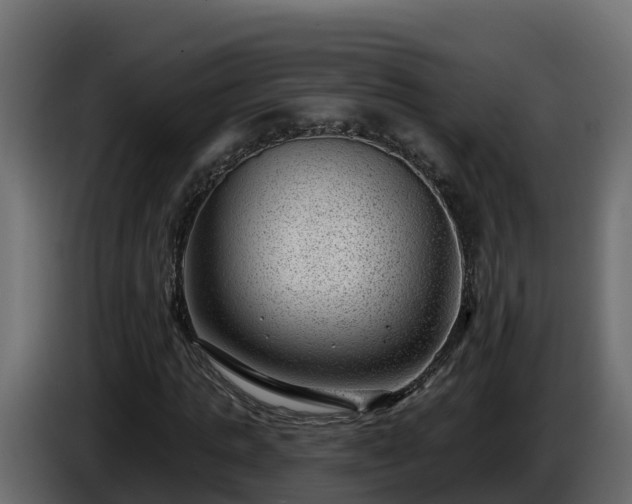 X0000085800821200703231328