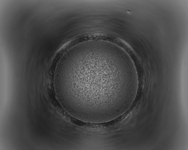 X0000085800823200703231328