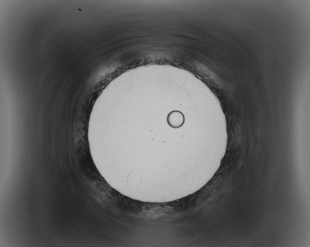 X0000085800824200703231328