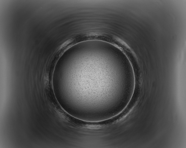 X0000085800825200703231328