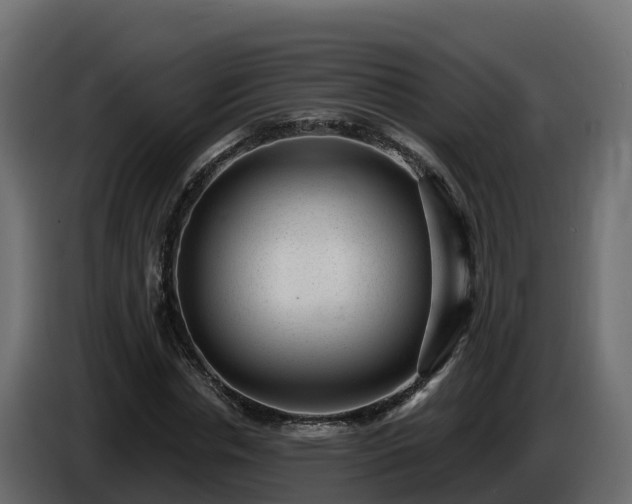 X0000085800826200703231328