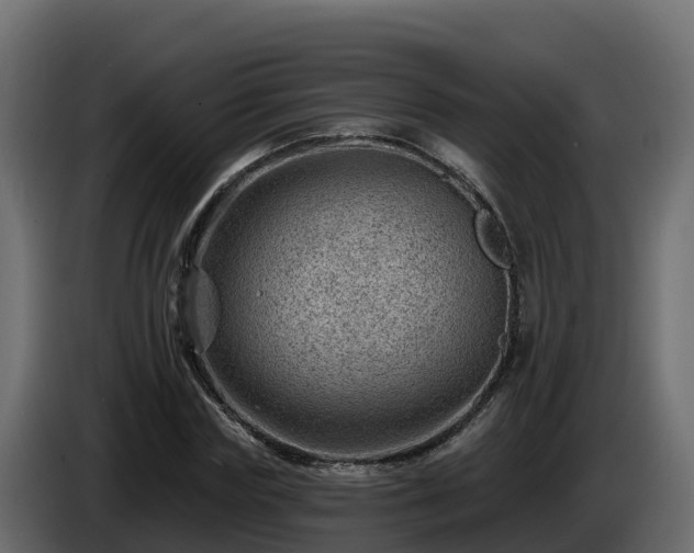 X0000085800827200703231328
