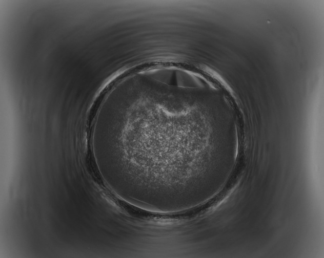 X0000085800829200703231328