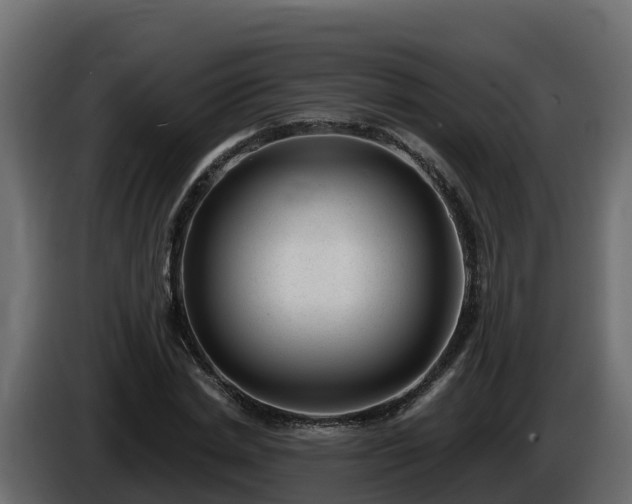 X0000085800830200703231328