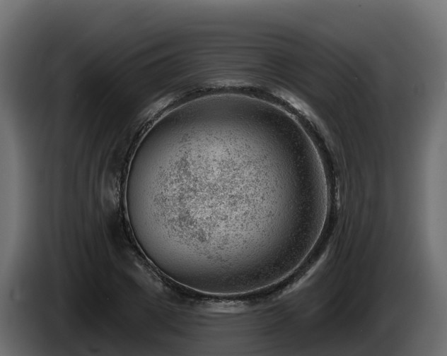 X0000085800833200703231328