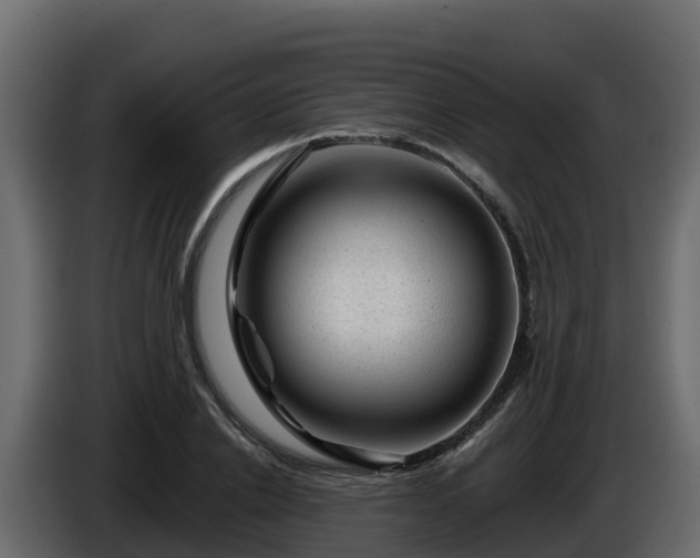 X0000085800838200703231328