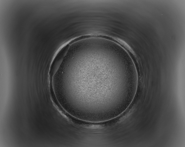 X0000085800839200703231328