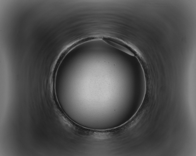 X0000085800840200703231328