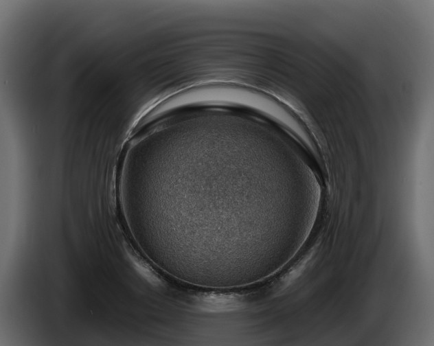 X0000085800842200703231328