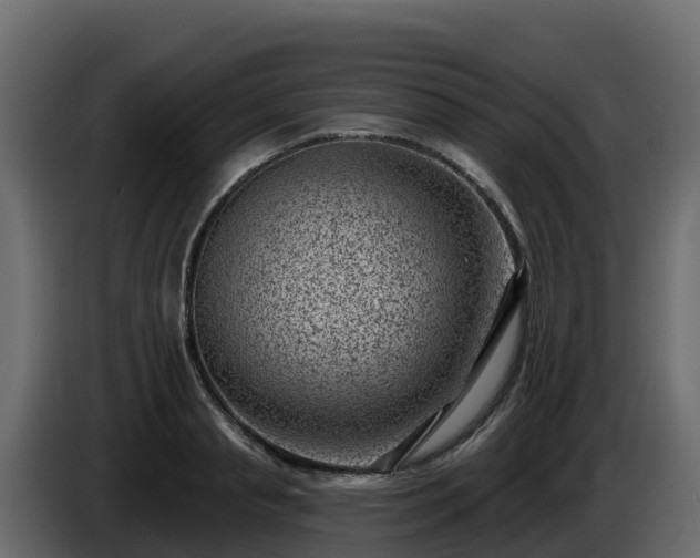 X0000085800845200703231328