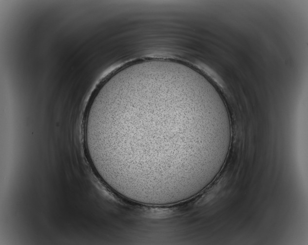 X0000085800848200703231328