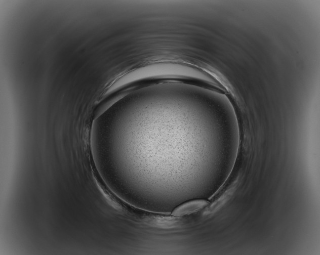 X0000085800849200703231328