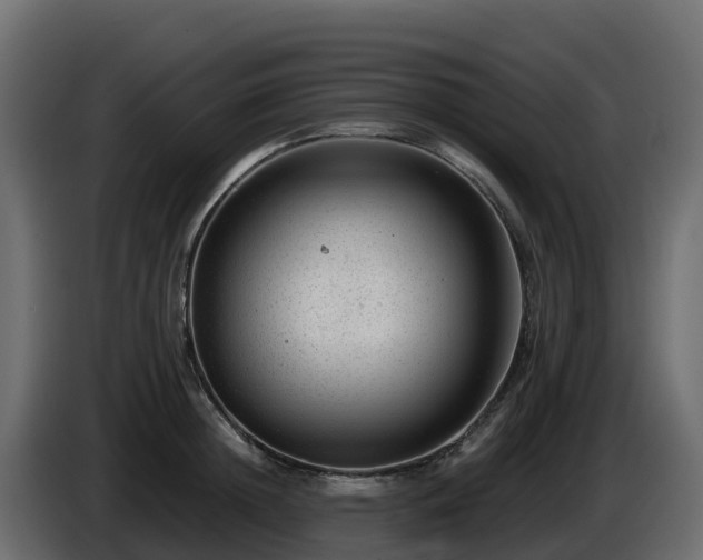 X0000085800852200703231328