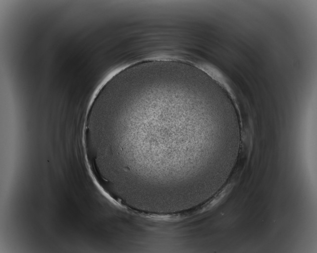 X0000085800855200703231328