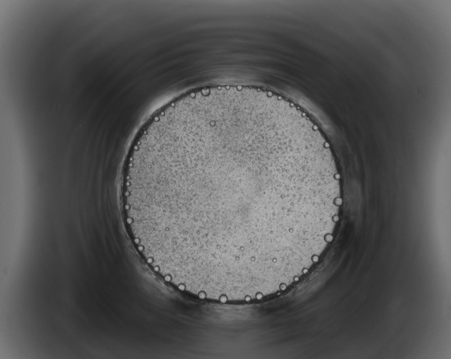 X0000085800856200703231328