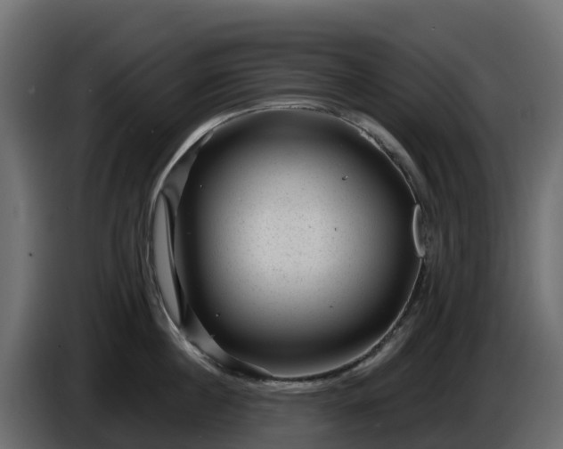 X0000085800860200703231329