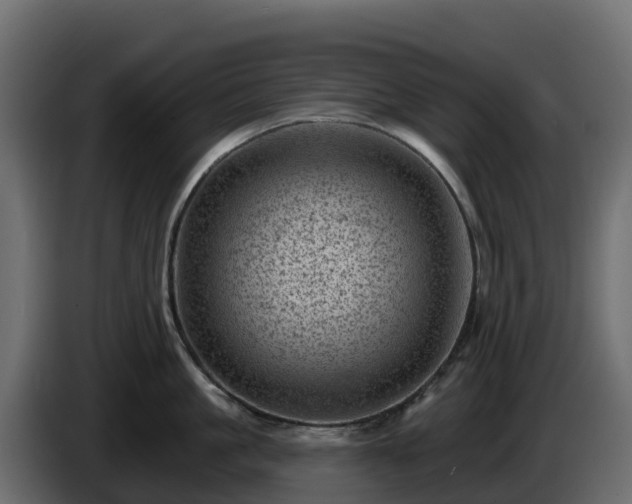 X0000085800861200703231329