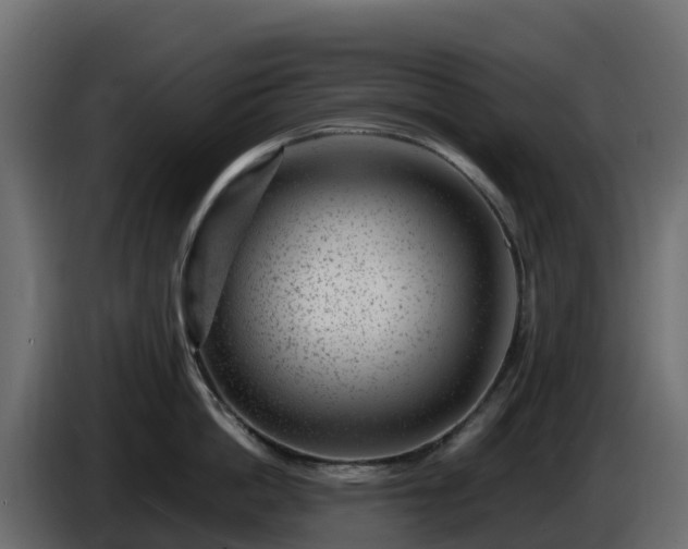 X0000085800862200703231329