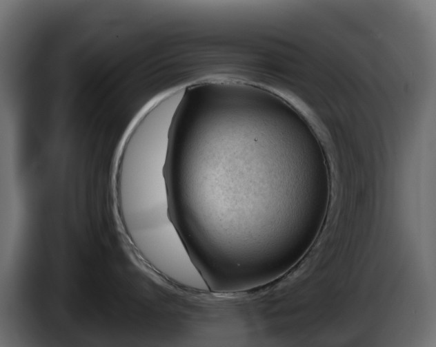 X0000085800864200703231329
