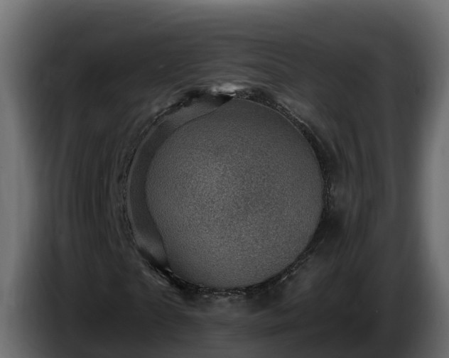 X0000085800865200703231328