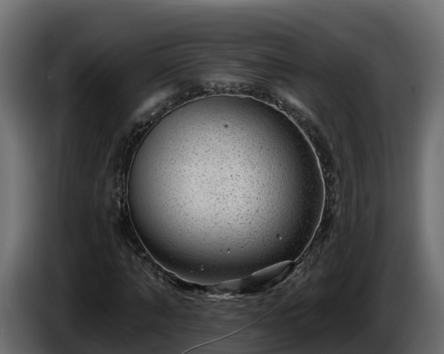 X0000085800870200703231328