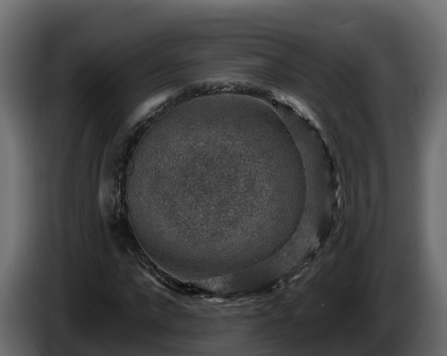 X0000085800872200703231328