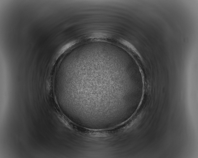 X0000085800874200703231328