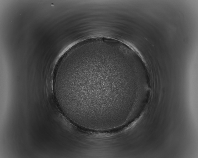 X0000085800877200703231328