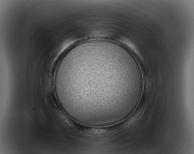 X0000085800878200703231328
