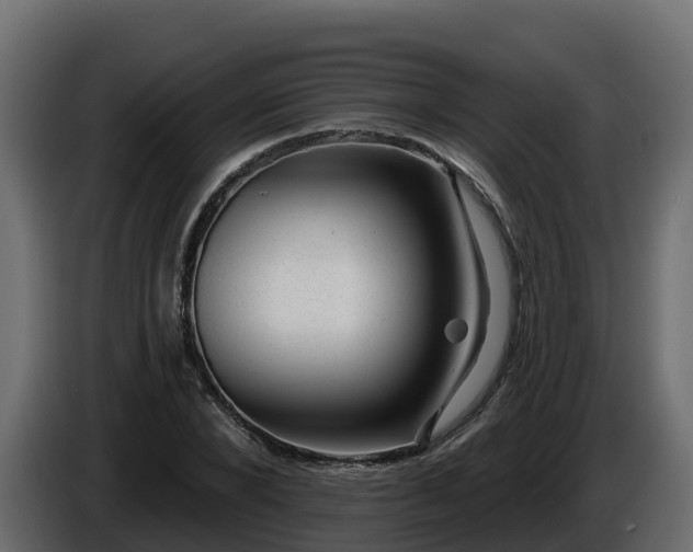 X0000085800880200703231328
