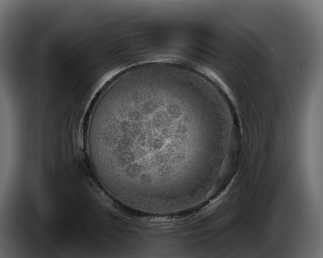 X0000085800883200703231328