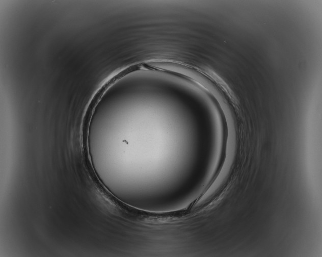 X0000085800884200703231328