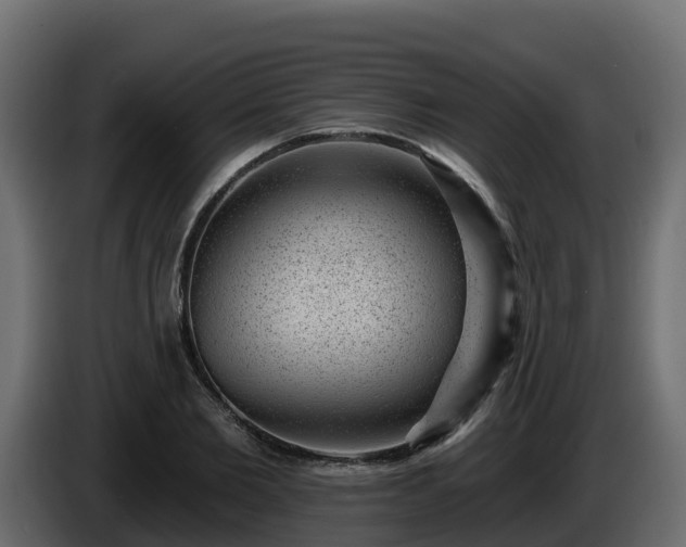 X0000085800885200703231328