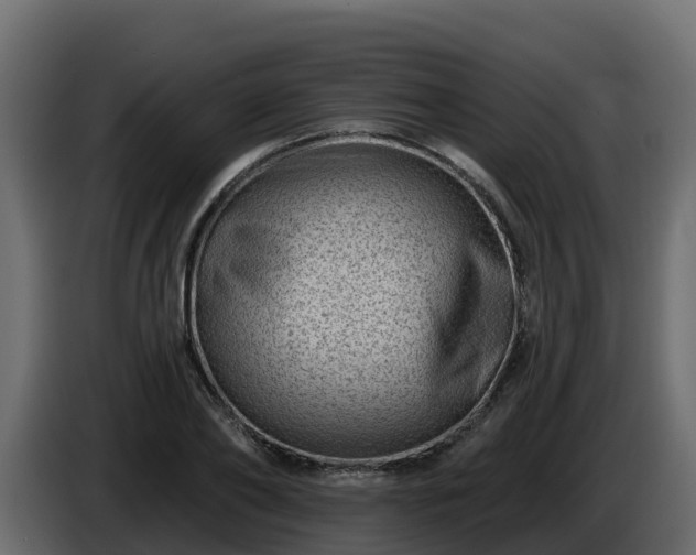 X0000085800886200703231328