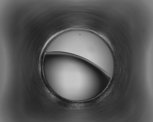X0000085800888200703231328