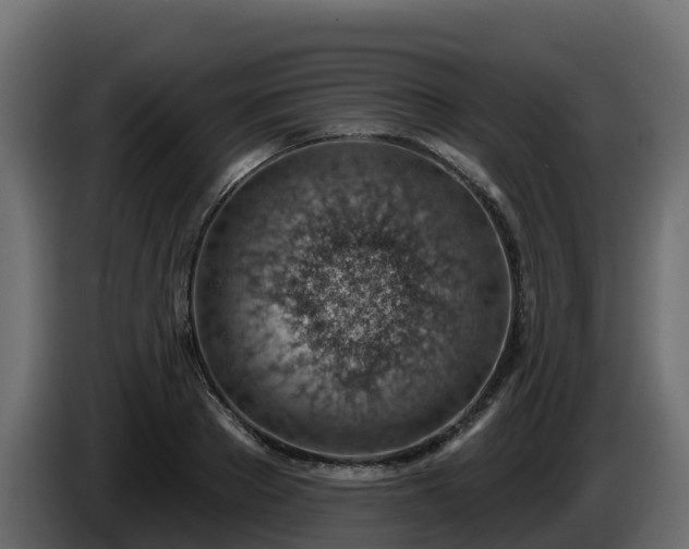 X0000085800889200703231328